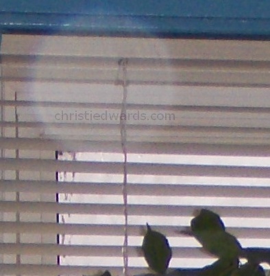 Another biggie near the window