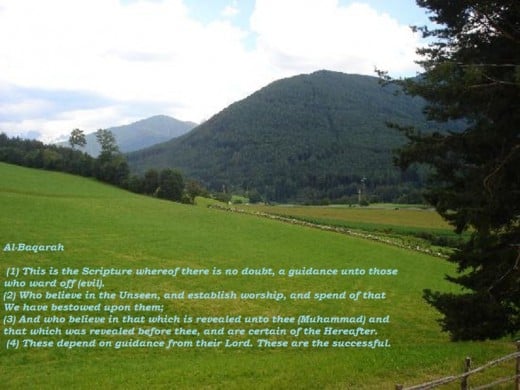 In the name of Allah, Most Gracious, most Merciful...