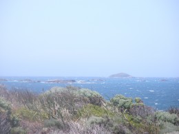 The Book Club Reflection: 'The Shipping News' by Annie Proulx