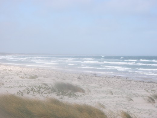 The wind is picking up