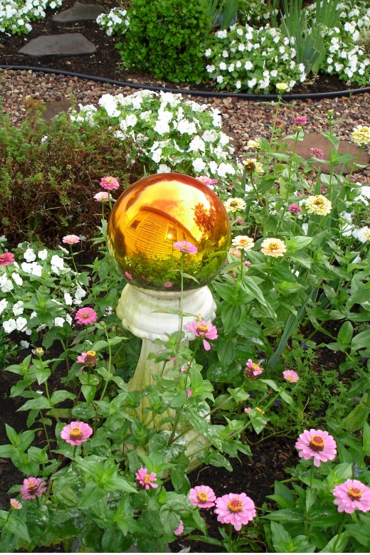 Impatiens and Zinnias