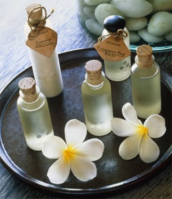 courtesy of http://www.splendicity.com/