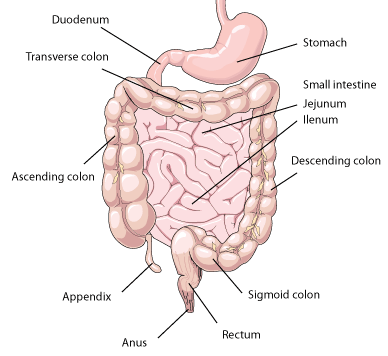 Celiac disease