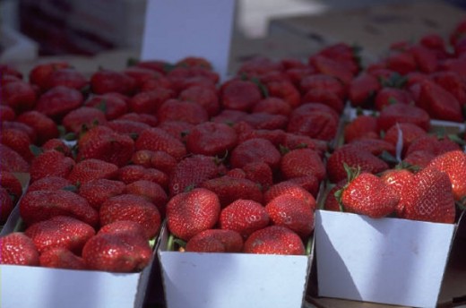 If you do not have a nearby farm or a garden, try a farm fresh specialty store.