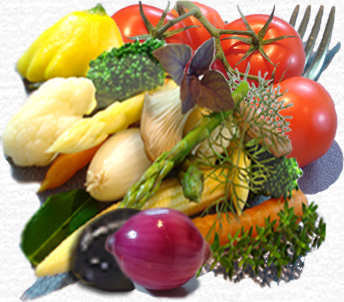 Vegetable for Vegan healthy diet http://thegreenmomreview.com/wp/wp-content/uploads/2009/06/vegetables.jpg