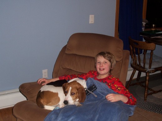 A dog can be a great companion
