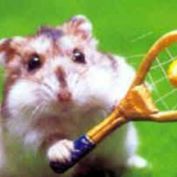 Mike Viskovich profile image
