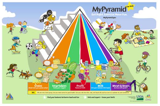 My Food Pyramid for children, make sure they eat each of the color everyday
