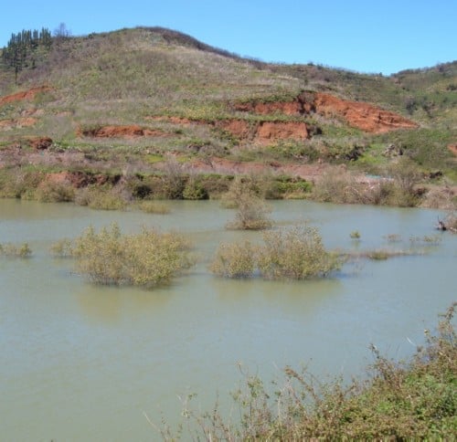 Erjos `pond