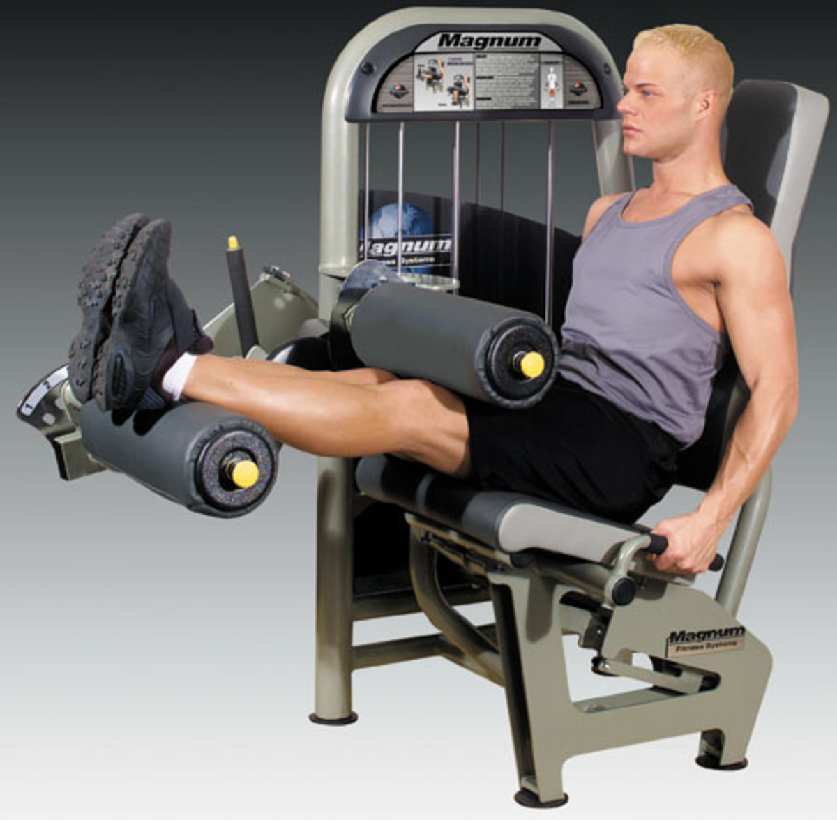 Leg Fitness Exercises on Equipment Roman Chair, Leg Curls