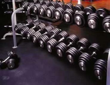 Buy Free Weights Online