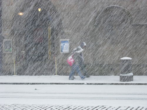 Snow in the City