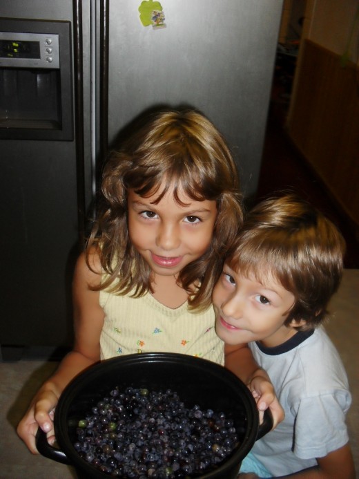Showing proudly their wild grapes and blackberries 