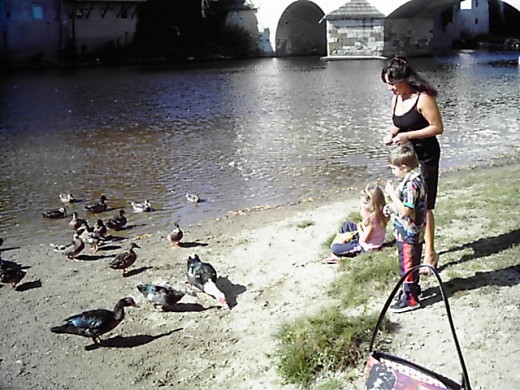 They always walk if they know we are going to feed the ducks! 