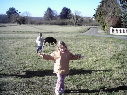 Walking the dog