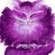 theenchantedkitty profile image
