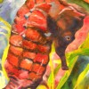 Painted Seahorse profile image