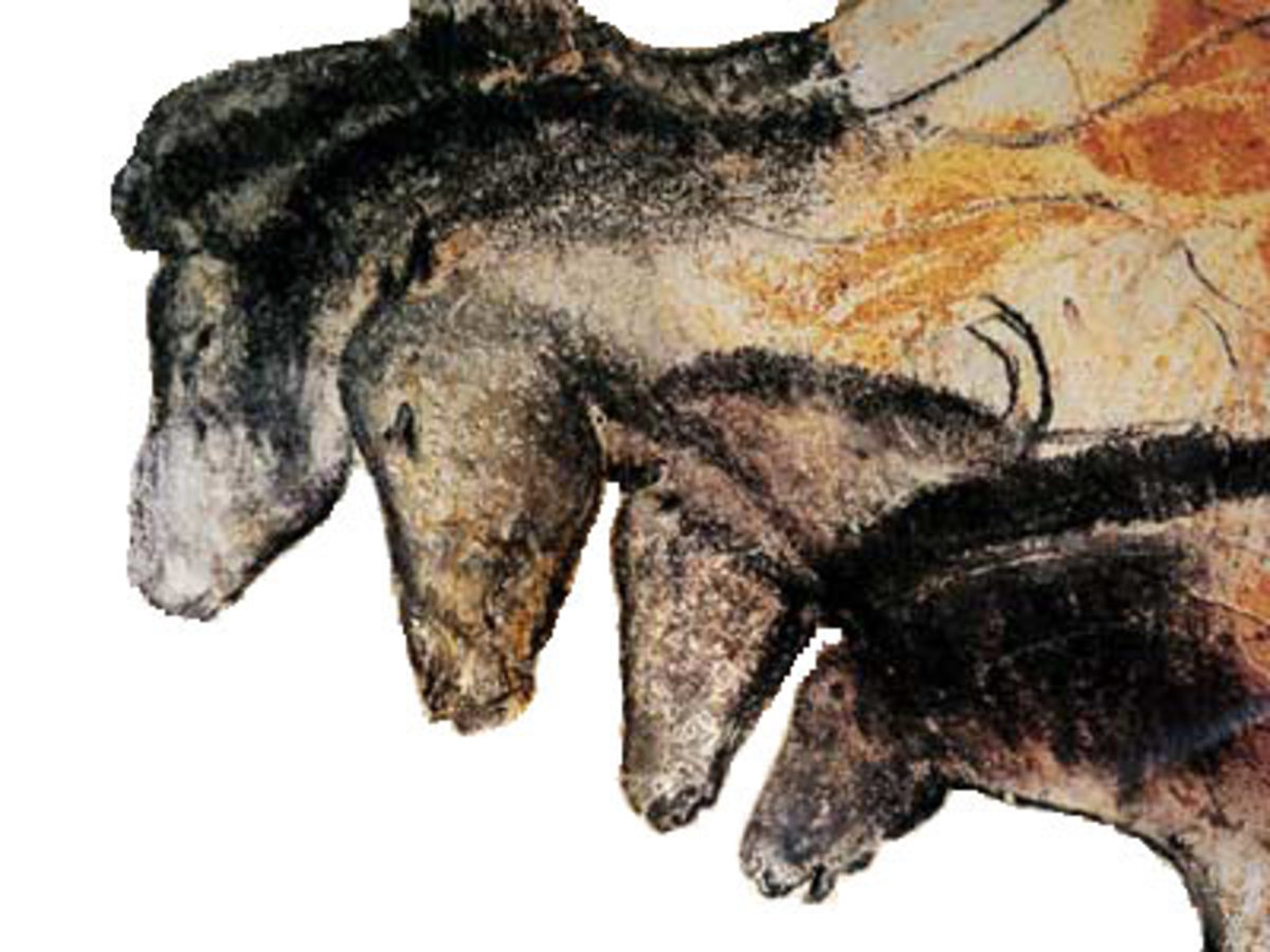 Grotte Chauvet horses. These look very much like a middle school science fair project I did (I had not seen the cave painting).