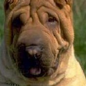 ethanmama profile image