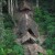 They live in the dense jungles of Brazil or Peru They live in the dense jungles of Brazil or Peru