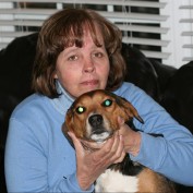 lpearce profile image
