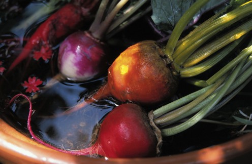 Red Beets