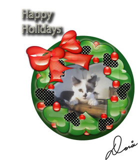 A holiday greeting (with my kitty) that I sent out to my friends one year