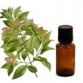 Sandalwood  Essential Oil: Why Use it?