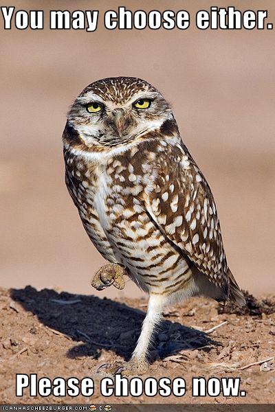 (Images from public domain collection at Wikimedia Commons, captioned with help of LOL Cats: http://icanhascheezburger.com/)