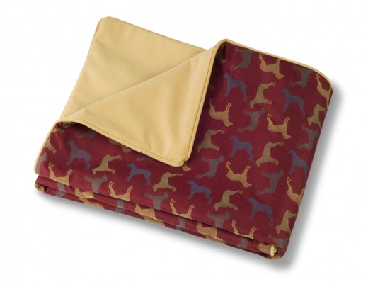 The Throver Blanket! Sturdy,fashionable and eco-friendly! A great way to protect your car's interior.