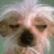 uwilfindit profile image