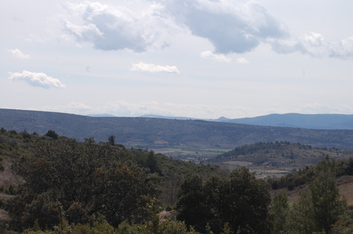 You start to climb through Corbieres wine country.
