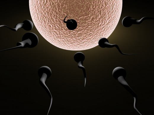 Cryogenics has been used to preserve both Sperm and Ova in the modern age