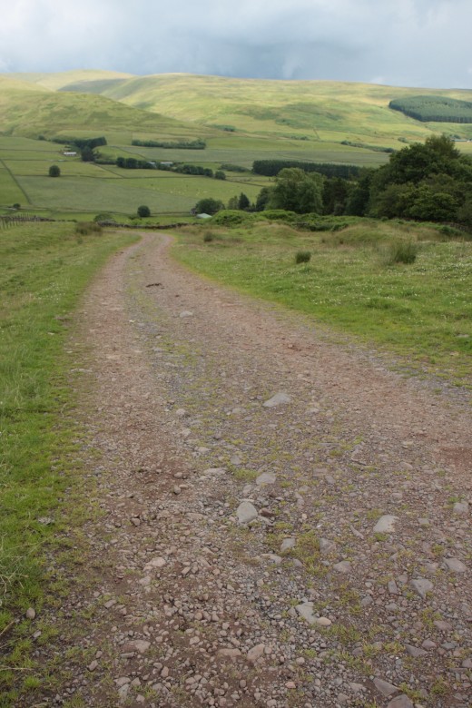 The hill up looking back after runningggggg