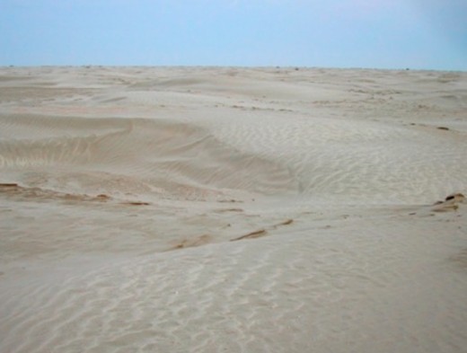 DESERTIFICATION OF ARAL SEA DESERTIFICATION OF ARAL SEA
