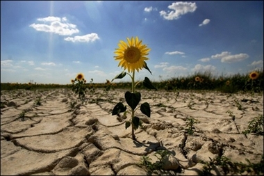 DROUGHT IN SPAIN DROUGHT IN SPAIN