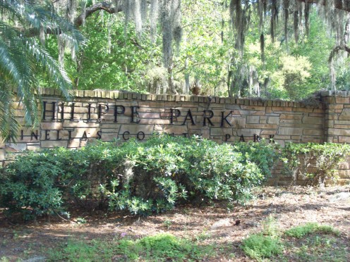 Philippe Park is a 122-acre park in Pinellas County, Florida. (Photo by cvanthul)
