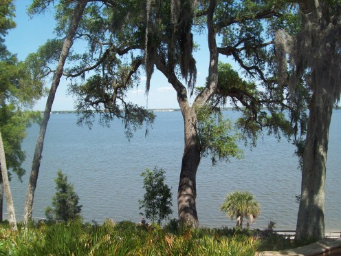 The view of Old Tampa Bay from the top of the Indian mound. (photo by cvanthul)