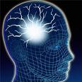 Image Source Address: http://www.topnews.in/health/diseases/brain