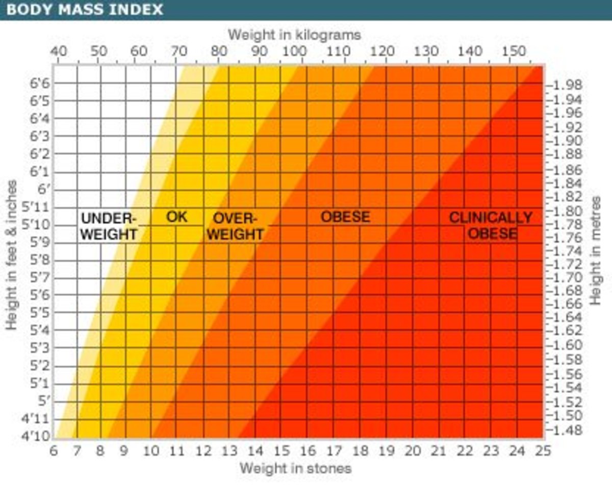What S My Bmi Chart