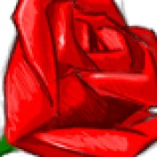 prashant12345 profile image