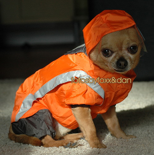 Only thing raining is this loud gear!