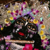 akrishan profile image