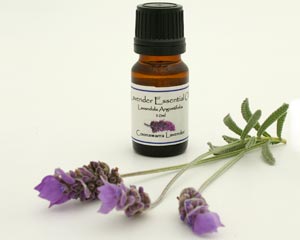 Lavender Essential Oil
