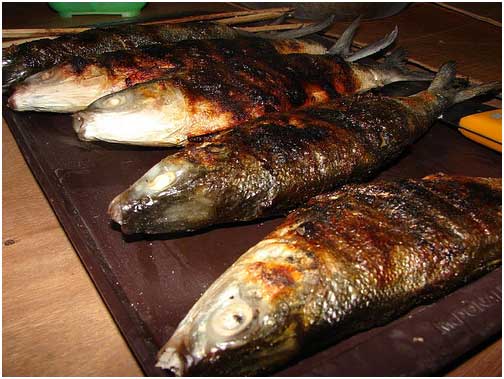 The tempting and irresistible inihaw na bangus or grilled bangus, the star of the penultimate day of the Dagupan Bangus Festival.