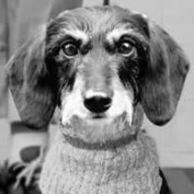 ettahub profile image