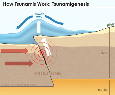 One of the events that trigger tsunamis is under sea earthquakes