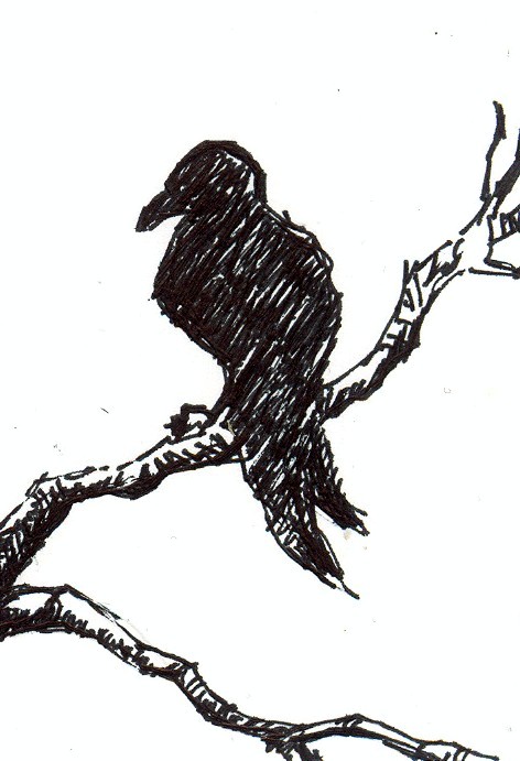 Bird on tree branch