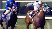 Horse Racing Systems