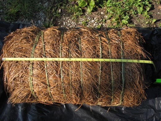 Bale of pine straw tied together with string